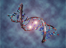 METHYLATION - WHAT IS IT?